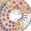 spermatogenez
