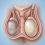 testis protezi